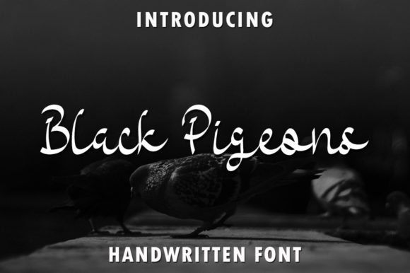 Black Pigeons: A Delicate Script Font