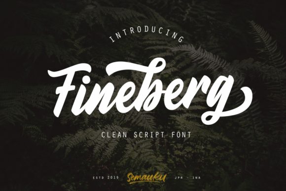 Fineberg: A Stylish Font for Business