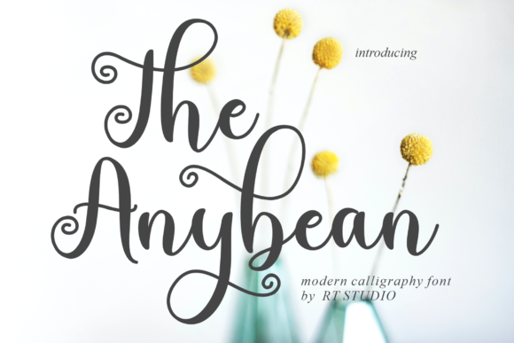 The Anybean: A Font That Elevates Your Brand